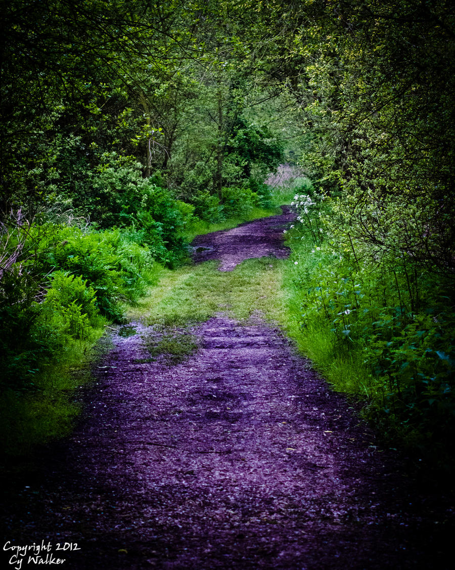 Westbere Path