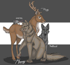 Moony- Prongs-Wormtail-Padfoot