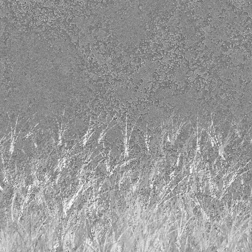 texture Tests 1 by altermind on DeviantArt