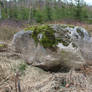 Stone - Stock Photo