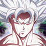 Goku Mastered Ultra Instinct (DBS Fanart)