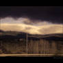 Rioja's Landscape