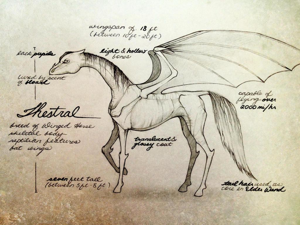 Thestral