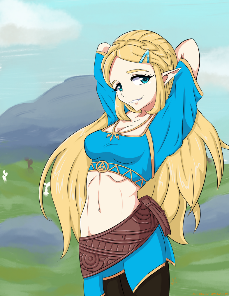 BOTW Princess Zelda Summer Version By Icesticker On DeviantArt.