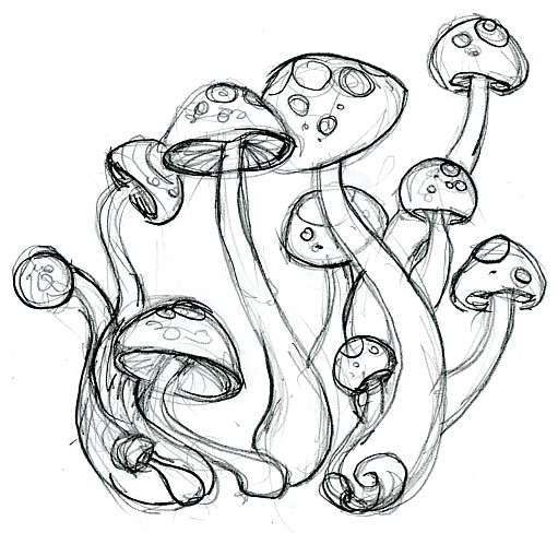 psychedelic mushrooms 2