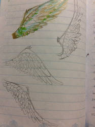 Angel wing doodles 