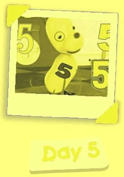 Day 5