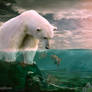 Polar bear