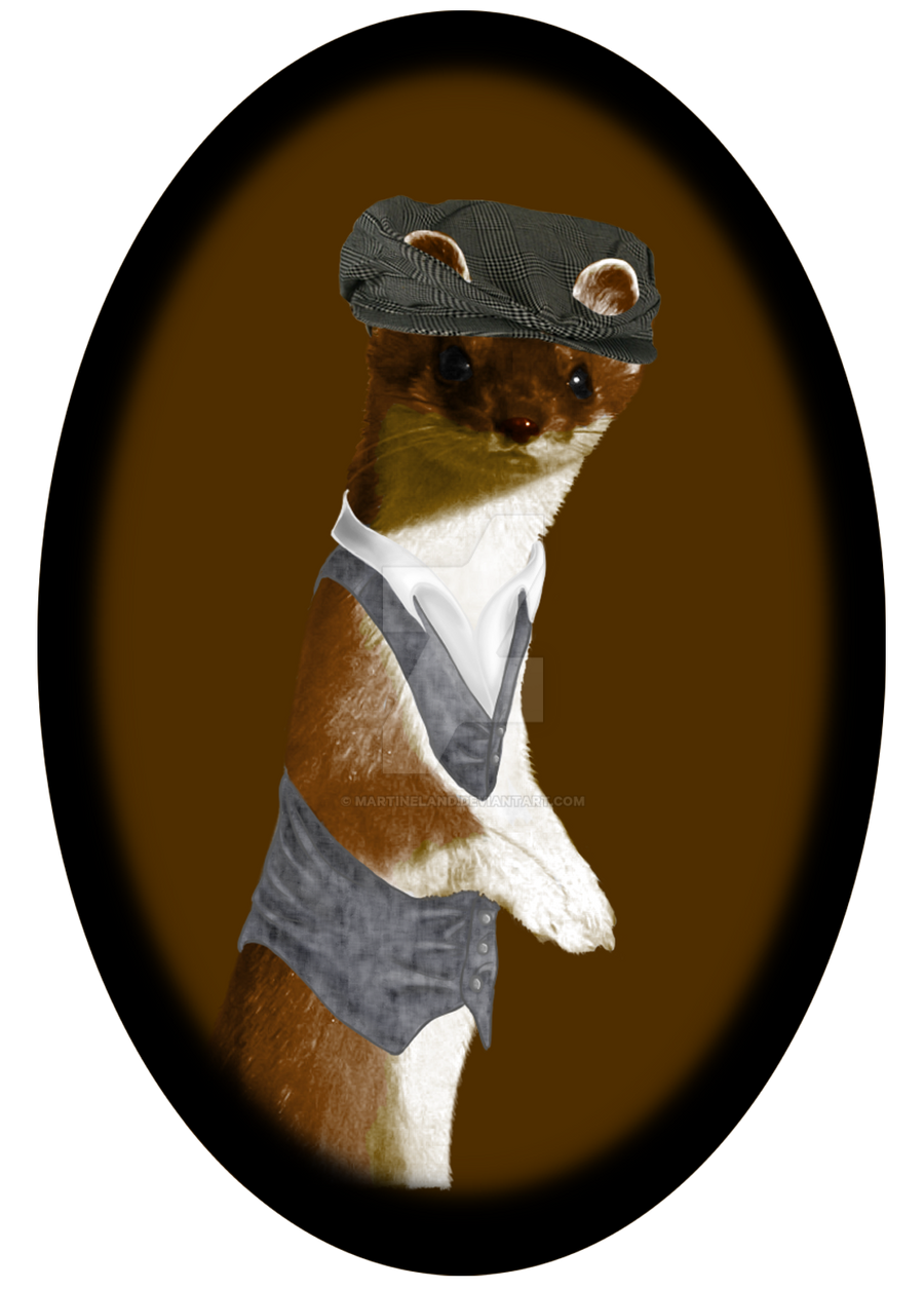 Least weasel