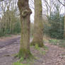 Stock Park II