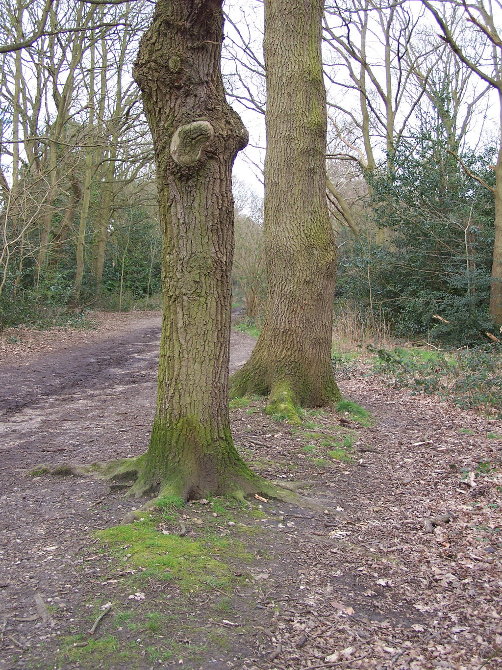 Stock Park II