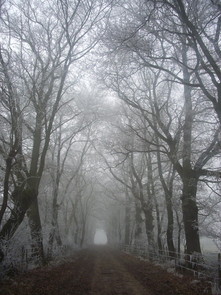 Park Winter