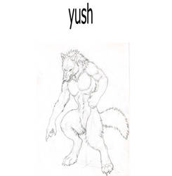 yush, por WolfZang