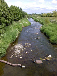 View over the River Eden