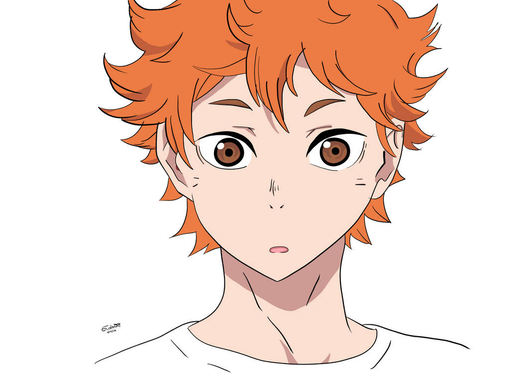 Hinata Haikyuu by endo08 on DeviantArt