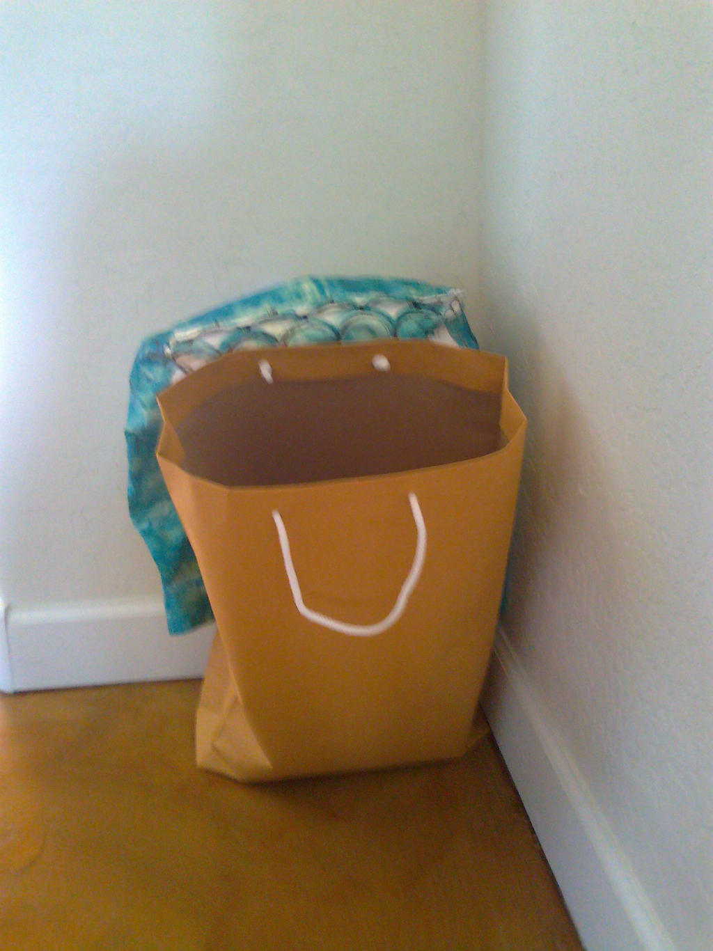 Shopping Bag Is Experiencing Unbridled Happiness