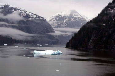 Tracey Arm Fjord