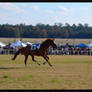 Riderless