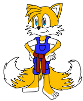 Happy 27th Birthday Tails Prower!!!!!!! by Erik-the-Okapi