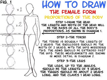 The Female Form - Part 1