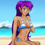 DTIYS Shantae 1