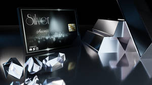 Silver Access