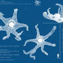 STAR Biological Blueprints | Abyss Depth