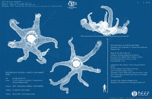 STAR Biological Blueprints | Abyss Depth