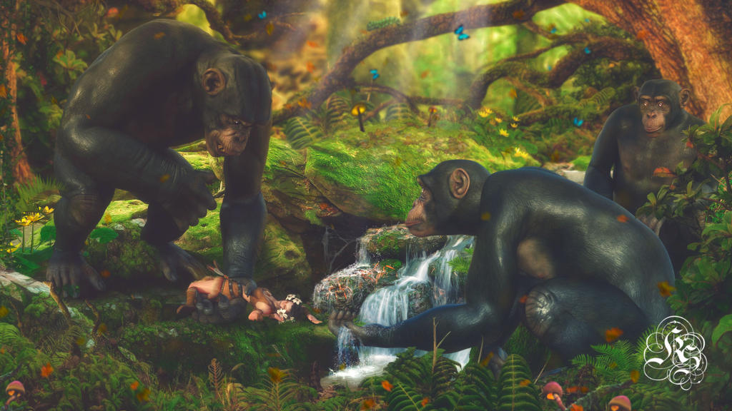 The New Chimpanzee Treasure