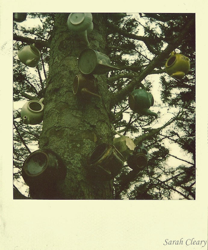 Teapot Tree polaroid by SarahCleary on DeviantArt