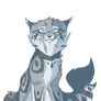 Jayfeather Sketch