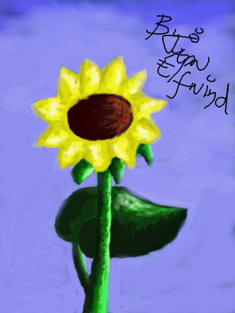 Sunflower