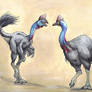 The Oviraptor and Cassowary