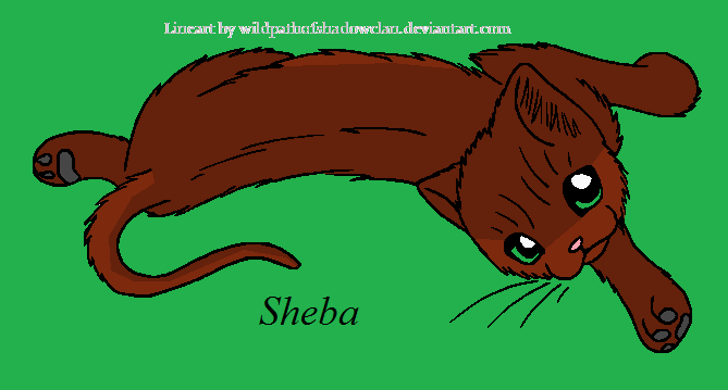 Sheba, Warrior Cat Clan Guardian