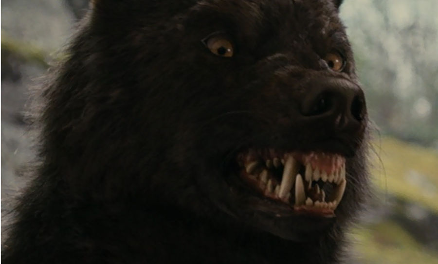 who s afraid of the big black wolf by