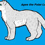 Agee the Polar Leopard