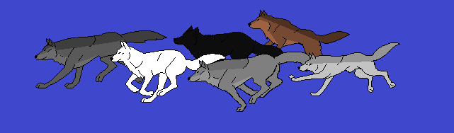 Dire Wolves