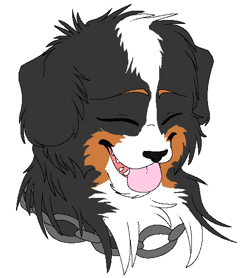 Bernese Mountain Dog by MelvisMD on DeviantArt