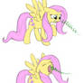 MLP: FlutterFuuuu