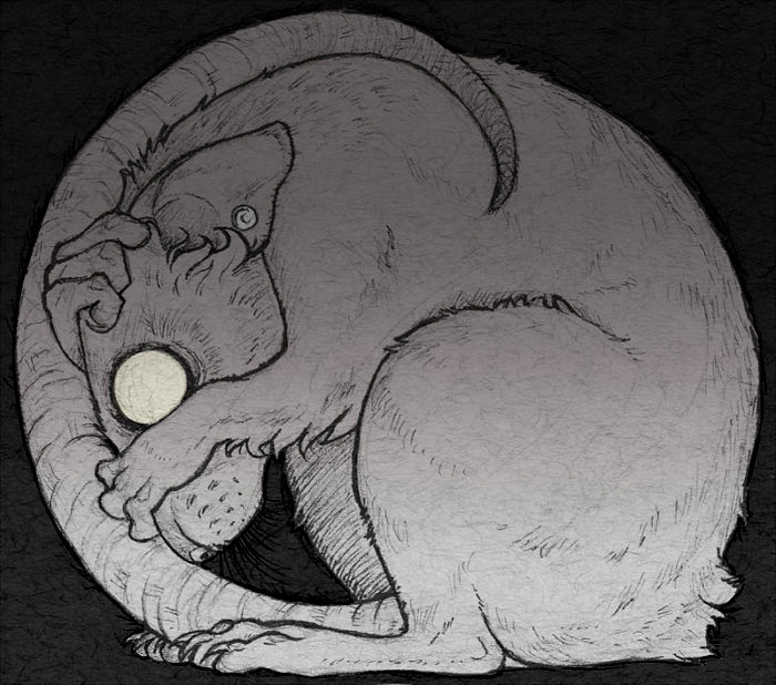 Aw Rats by CitrusRatz on DeviantArt Aw Rats by CitrusRatz on DeviantArt