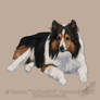 Sketchy Pet Portrait 4