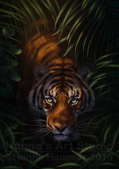 Bengal Tiger. Creative title is creative - PRINTS!