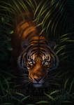 Bengal Tiger. Creative title is creative - PRINTS! by HannasArtStudio