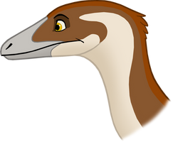 Sinosauropteryx Head