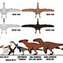 Raptor Red Project: Early Size Chart