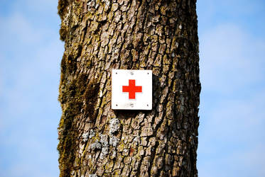 Medicin Tree