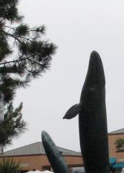 Statues in front of Birch Aquarium