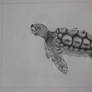 Sea turtle