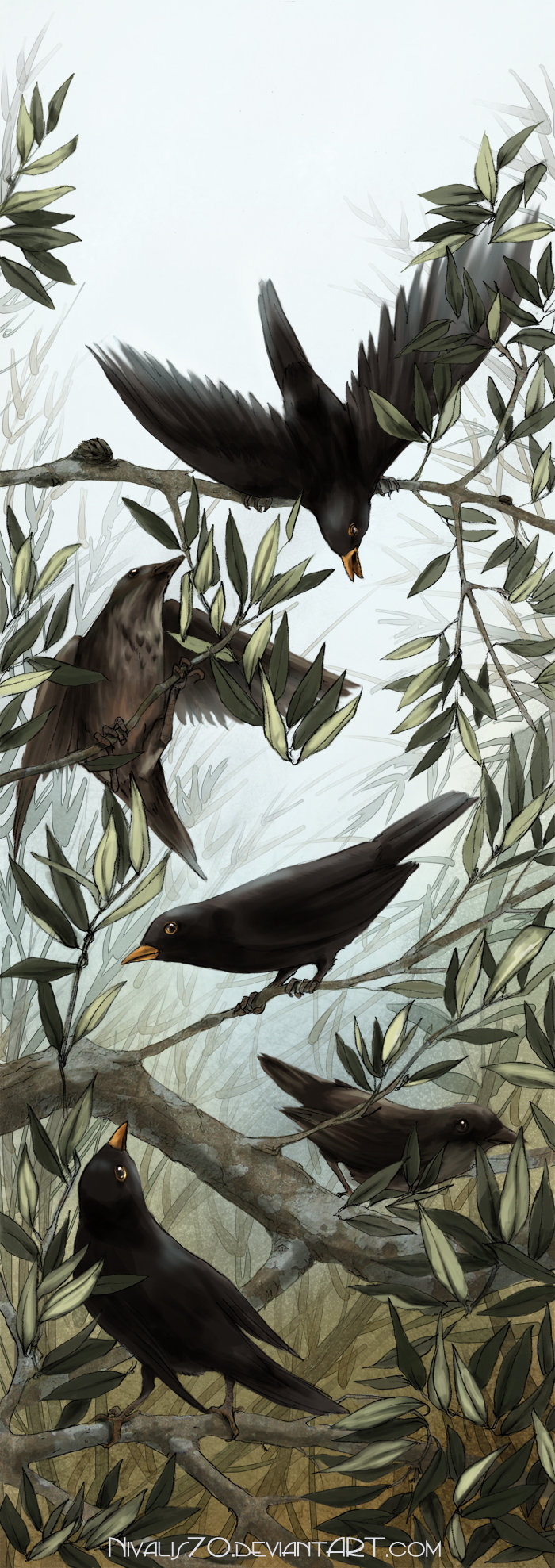 Blackbirds and olive branches