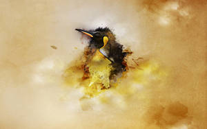 Gnu Linux